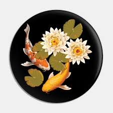 koi-carp